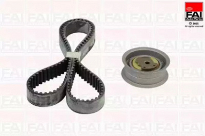 FAI AUTOPARTS tbk334 -  Комплект ремня ГРМ